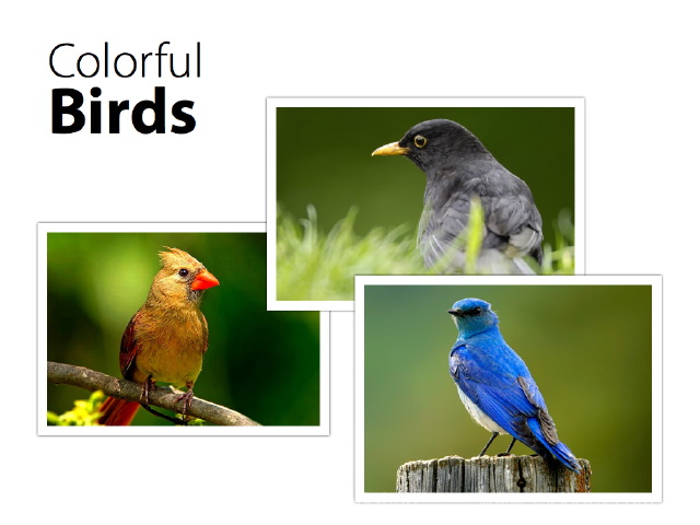 Sticky Presentations. Effective PowerPoint slides for business presentations.