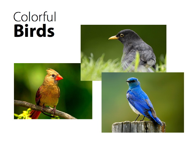 Sticky Presentations. Effective PowerPoint slides for business presentations.